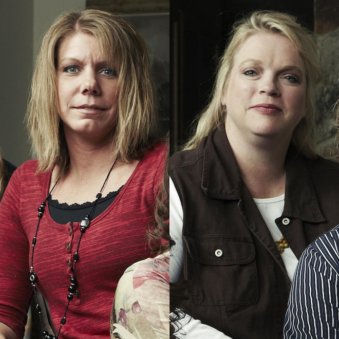 Sister Wives stars Christine Brown, Meri Brown, Robyn Brown, Janelle Brown and Kody Brown.
